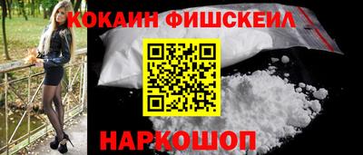 дживик Моздок