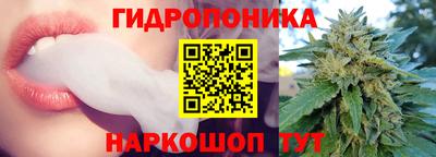 дживик Моздок